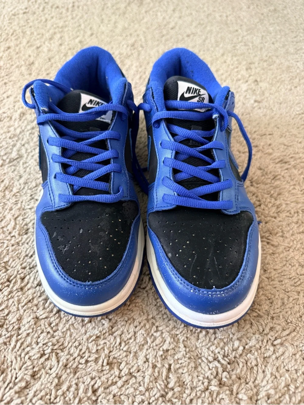 Men's Nike Dunks Blue and Black - Classic Athletic Style